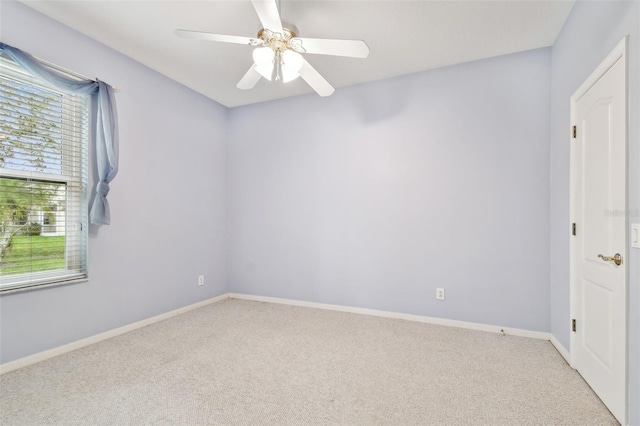 15209 Hammock Chase Ct, Odessa, FL 33556 - photo 54