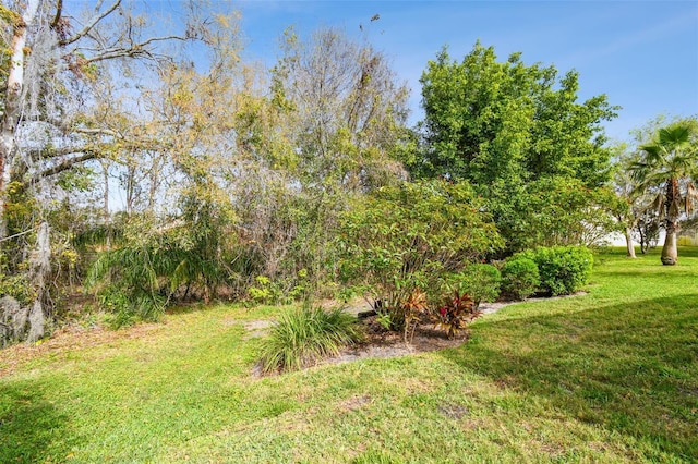 15209 Hammock Chase Ct, Odessa, FL 33556 - photo 67