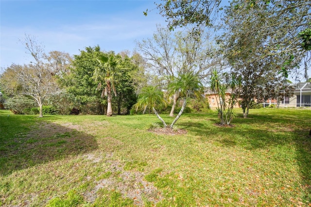 15209 Hammock Chase Ct, Odessa, FL 33556 - photo 69