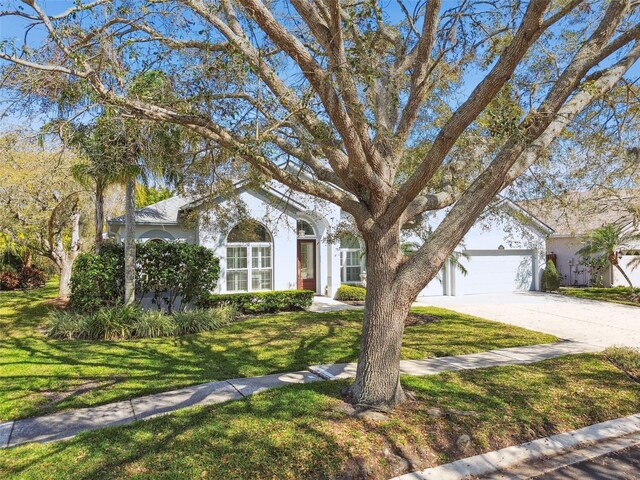 15209 Hammock Chase Ct, Odessa, FL 33556 - photo 71