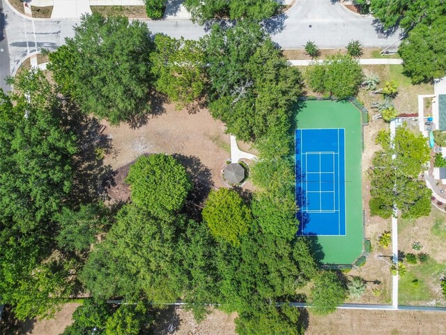 15209 Hammock Chase Ct, Odessa, FL 33556 - photo 77