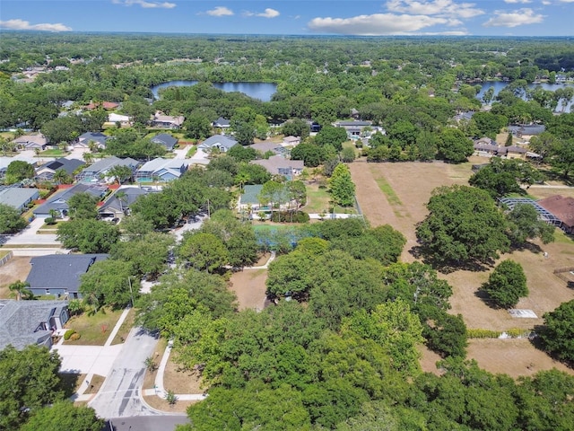 15209 Hammock Chase Ct, Odessa, FL 33556 - photo 79