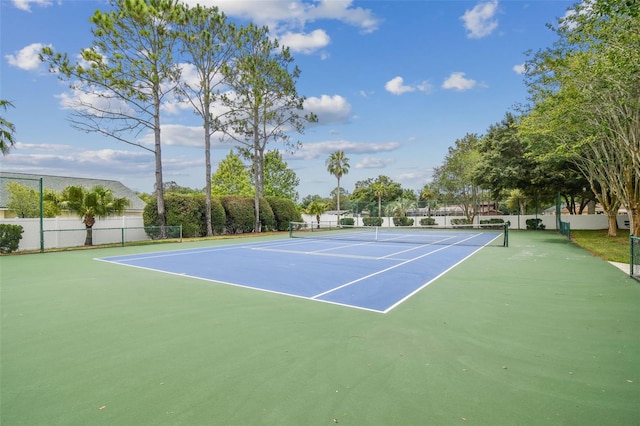 15209 Hammock Chase Ct, Odessa, FL 33556 - photo 82