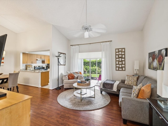 4220 Revere Cir, New Port Richey, FL 34653 - living room with a ceiling fan and dark wood-style floors