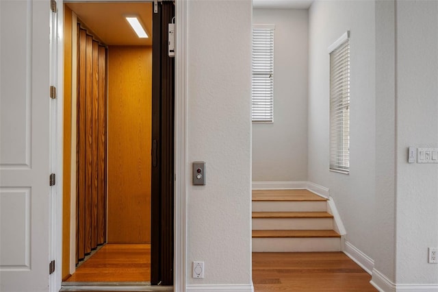 6030 Printery St Unit 108, Tampa, FL 33616 - photo 13