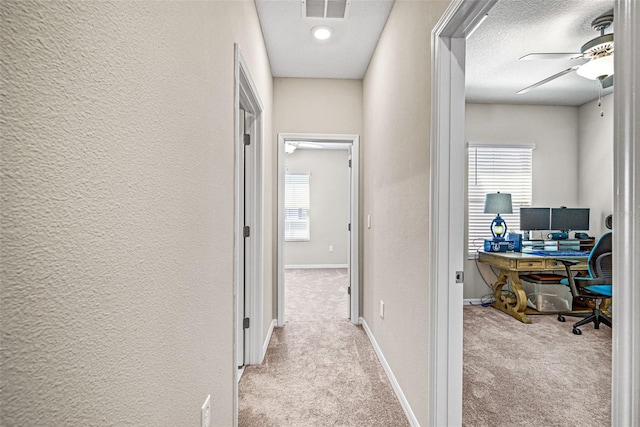 31945 Blue Passing Loop, Wesley Chapel, FL 33545 - hallway featuring carpet, a desk, and a textured wall