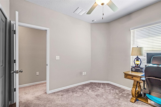 31945 Blue Passing Loop, Wesley Chapel, FL 33545 - office space with carpet and a ceiling fan