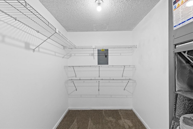 840 Virginia St Unit 301, Dunedin, FL 34698 - spacious closet featuring electric panel and carpet flooring