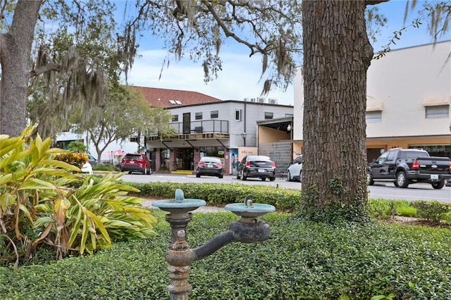 840 Virginia St Unit 301, Dunedin, FL 34698 - view of yard