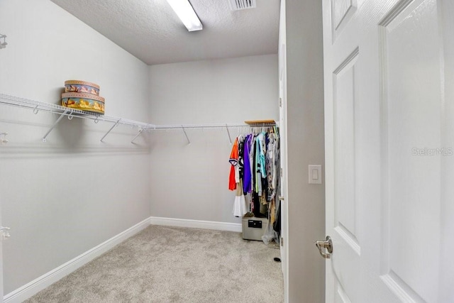 11809 Catawba Cv, Parrish, FL 34219 - spacious closet featuring carpet