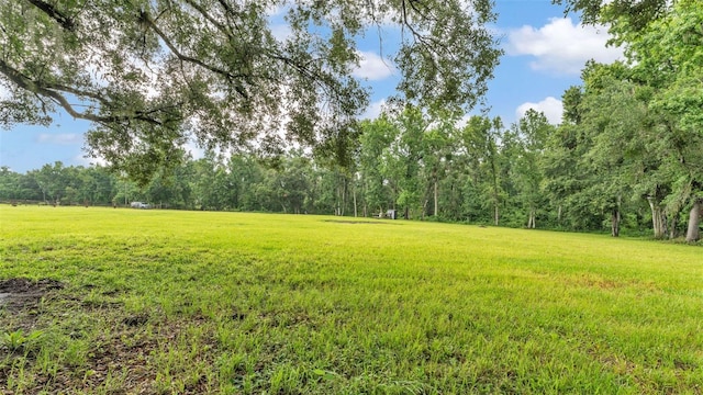 32291 Rusty Creek Trl, Dade City, FL 33525 - photo 2