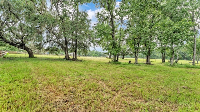 32291 Rusty Creek Trl, Dade City, FL 33525 - photo 3