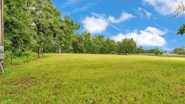 32291 Rusty Creek Trl, Dade City, FL 33525 - photo 4
