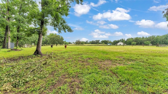 32291 Rusty Creek Trl, Dade City, FL 33525 - photo 5