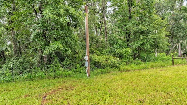 32291 Rusty Creek Trl, Dade City, FL 33525 - photo 8