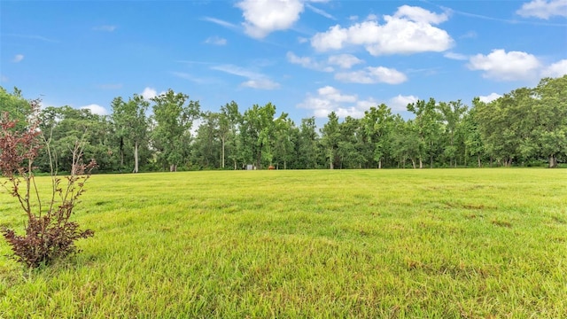 32291 Rusty Creek Trl, Dade City, FL 33525 - photo 11