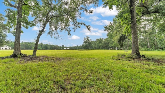32291 Rusty Creek Trl, Dade City, FL 33525 - photo 12