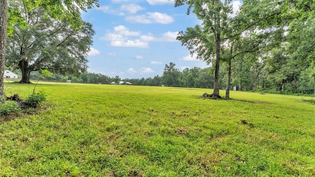 32291 Rusty Creek Trl, Dade City, FL 33525 - photo 16