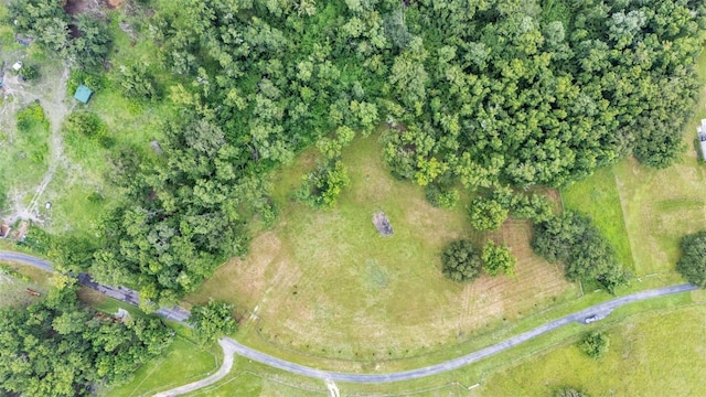 32291 Rusty Creek Trl, Dade City, FL 33525 - photo 17