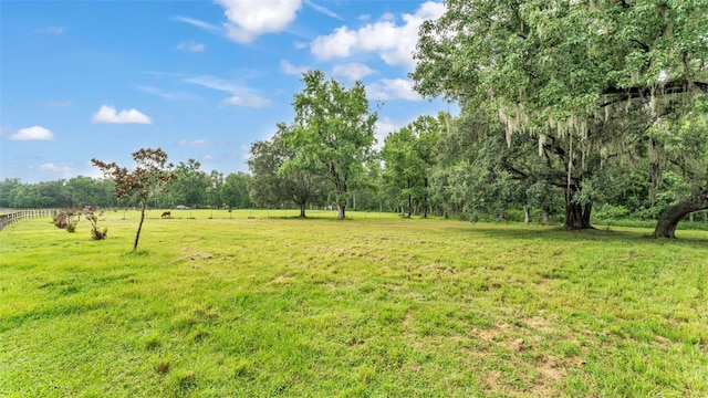 32291 Rusty Creek Trl, Dade City, FL 33525 - photo 19