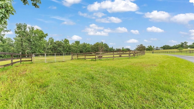 32291 Rusty Creek Trl, Dade City, FL 33525 - photo 21