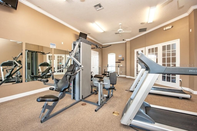 7001 Interbay Blvd Unit 121, Tampa, FL 33616 - workout area featuring ceiling fan, ornamental molding, and carpet flooring