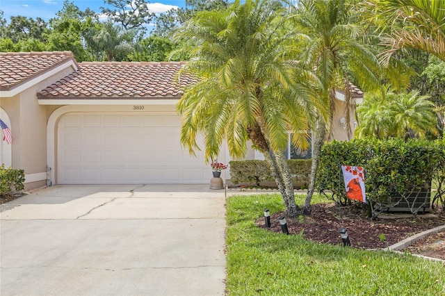 3810 Darston St, Palm Harbor, FL 34685 - photo 2