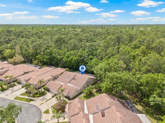 3810 Darston St, Palm Harbor, FL 34685 - photo 33