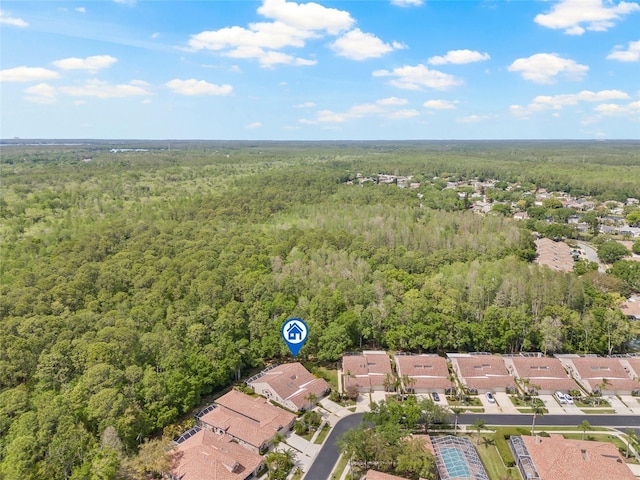 3810 Darston St, Palm Harbor, FL 34685 - photo 34