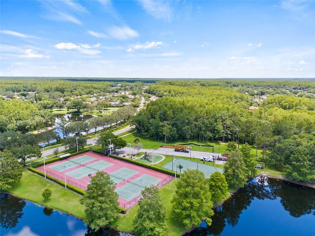 3810 Darston St, Palm Harbor, FL 34685 - photo 42