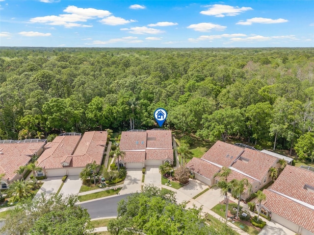 3810 Darston St, Palm Harbor, FL 34685 - photo 45