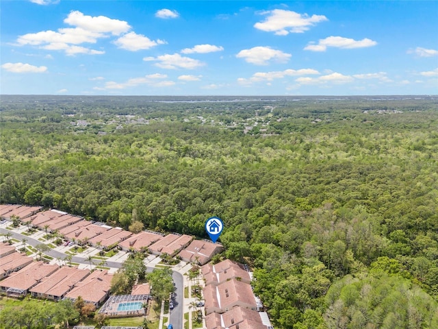 3810 Darston St, Palm Harbor, FL 34685 - photo 46