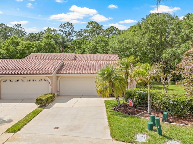 3810 Darston St, Palm Harbor, FL 34685 - photo 47