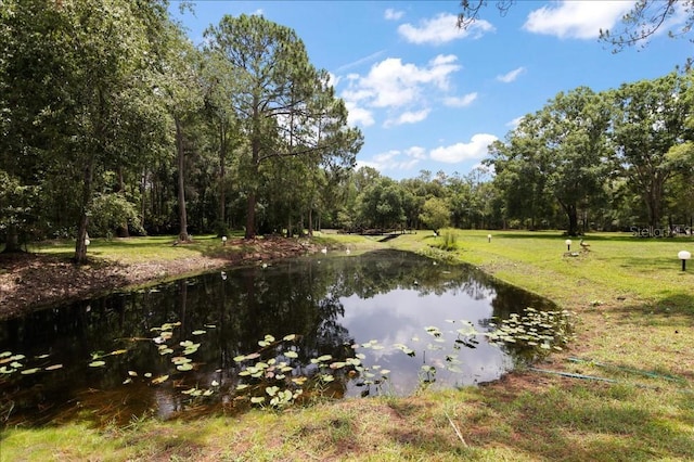 935 Ranch Rd, Tarpon Springs, FL 34688 - water view