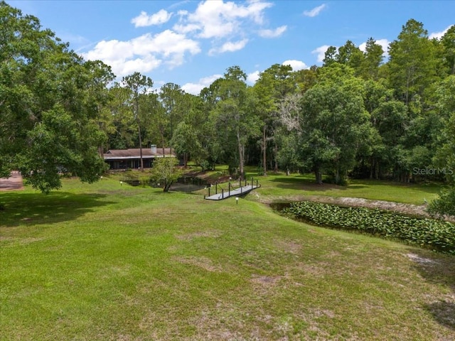 935 Ranch Rd, Tarpon Springs, FL 34688 - view of grassy yard featuring a forest view