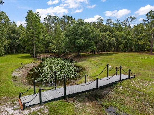935 Ranch Rd, Tarpon Springs, FL 34688 - view of home's community with a yard and a wooded view