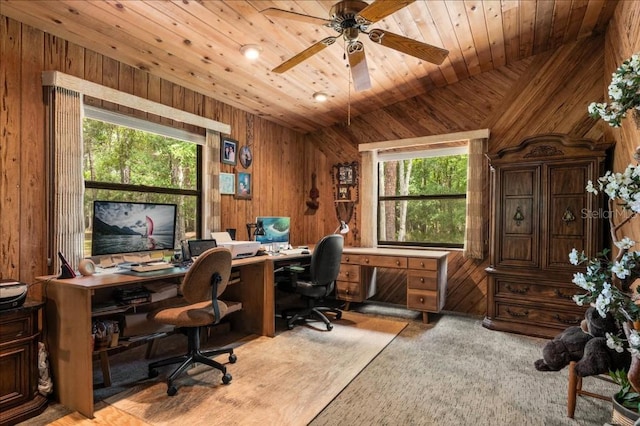 935 Ranch Rd, Tarpon Springs, FL 34688 - office space with wood walls, wood ceiling, a ceiling fan, lofted ceiling, and carpet floors
