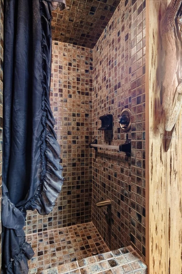 935 Ranch Rd, Tarpon Springs, FL 34688 - bathroom featuring tiled shower