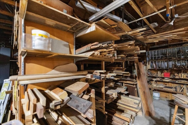 935 Ranch Rd, Tarpon Springs, FL 34688 - view of storage area
