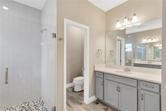 12828 Satin Lily Dr, Riverview, FL 33579 - bathroom with a shower stall, vanity, and wood finished floors