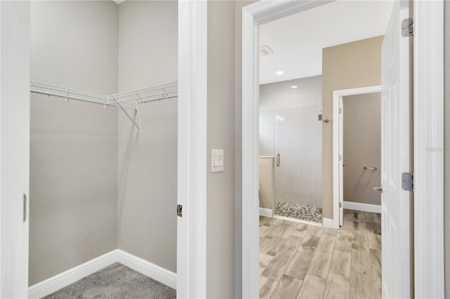 12828 Satin Lily Dr, Riverview, FL 33579 - view of spacious closet