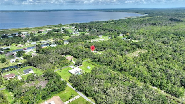 6168 Arborea Dr, Indian Lake Estates, FL 33855 - photo 68