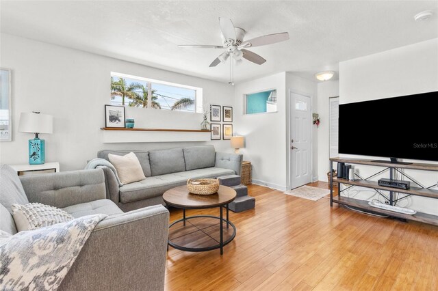 7950 Causeway Blvd N, Saint Petersburg, FL 33707 - living room featuring a ceiling fan and light wood-type flooring