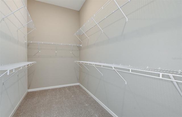 9045 SW 52nd Place Rd, Ocala, FL 34481 - photo 11