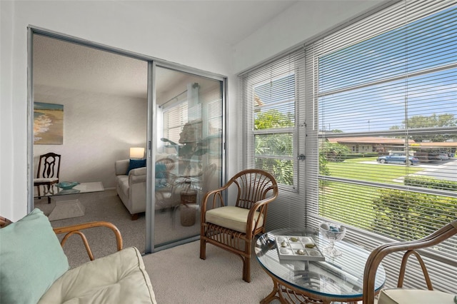 1701 Pinehurst Rd Unit 18D, Dunedin, FL 34698 - sunroom / solarium with plenty of natural light
