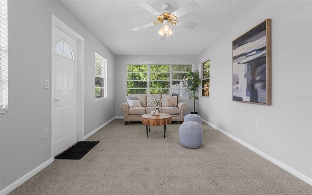 2614 W Idlewild Ave, Tampa, FL 33614 - living room featuring carpet flooring, a textured ceiling, and ceiling fan