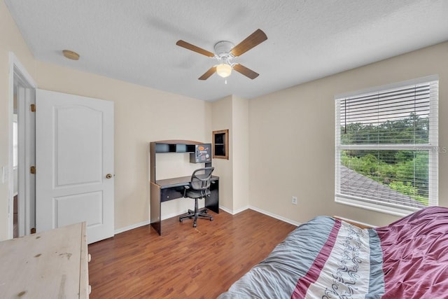 5833 Meadowpark Pl, Lithia, FL 33547 - photo 31