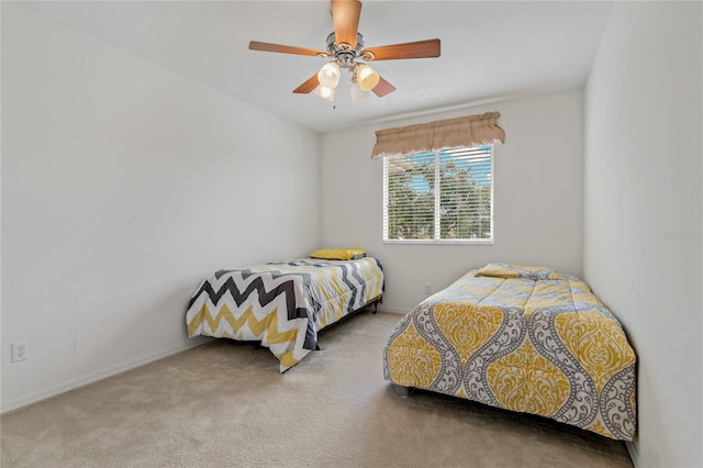 20115 Nob Oak Ave, Tampa, FL 33647 - photo 35
