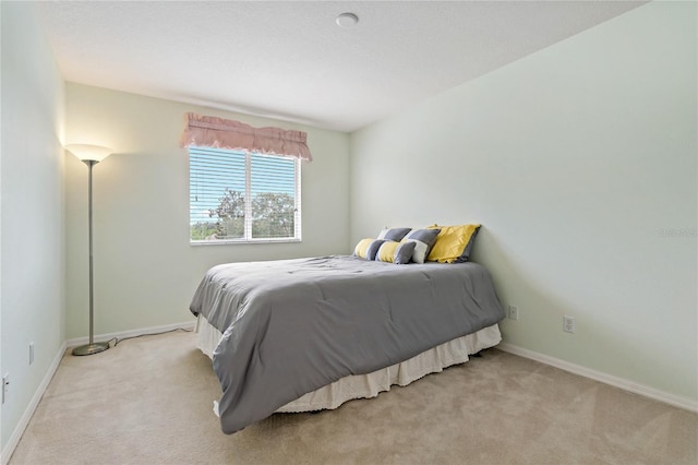 20115 Nob Oak Ave, Tampa, FL 33647 - photo 39