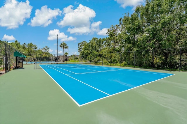 20115 Nob Oak Ave, Tampa, FL 33647 - photo 65